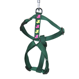Nylon harness - Classic dog - 30/50cm - 1.6cm - green