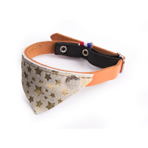 Collier chat en cuir - Miami - <30cm - 1.1cm - orange