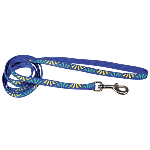 Laisse en nylon - Delight - Bleu