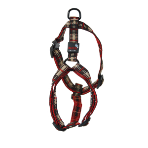 Nylon Harness - Scotland - 70/90cm - 2.5cm - beige