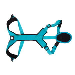 Harnais en nylon - Canicross basic - XXL - 35<50kg - turquoise