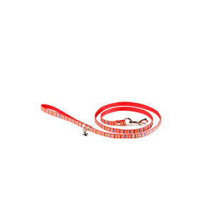 Nylon lead - Rainbow - <100cm - 1cm - fluorescent orange