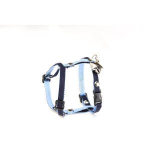 Harnais en nylon - XS - 1cm - bleu