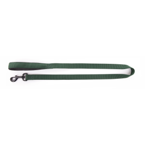 Laisse en nylon - <120cm - 2.5cm - vert
