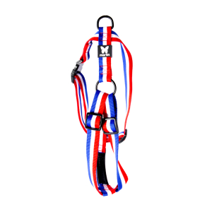 Harnais en nylon - Les frenchies - 70/90cm - 2.5cm - tricolor