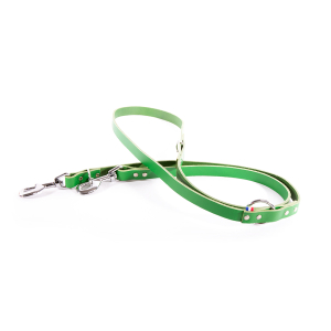 Multiposition leather leash - 499 two-tone - 2m - 1.8cm - green