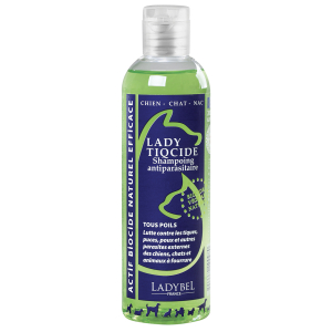 Lady Tiqcide Shampoo - Ladybel - 20L