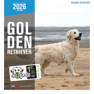 Calendrier chien 2026 - Golden Retriever - Martin
