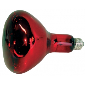 Infrared light bulb for dog breeding lamp