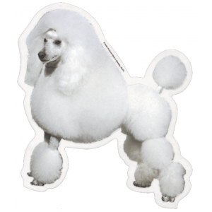 Poodle Lion white Sticker - 15cm