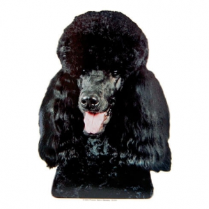 Poodle Modern black Sticker - 15cm