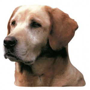 Labrador Sticker - 15cm
