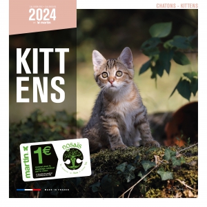 Calendrier 2024 - Chatons - Martin Sellier