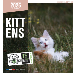 Calendrier 2026 - Chatons - Martin