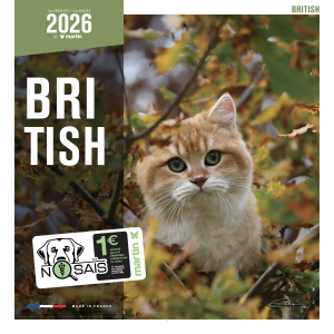 Calendrier chat 2026 - British - Martin