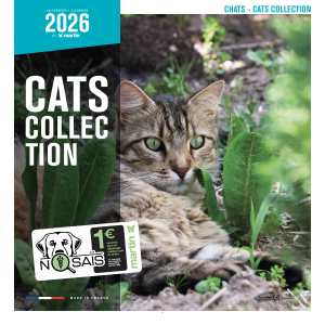 Calendrier chat 2026 - Chats - Martin