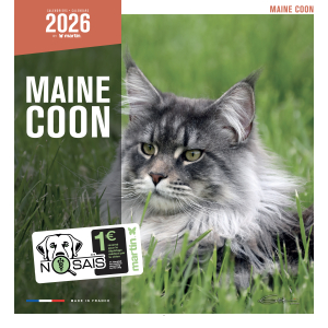 Calendrier chat 2026 - Maine Coon - Martin