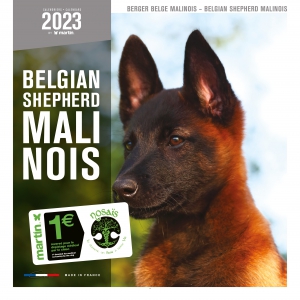 Calendrier chien 2023 - Berger Belge Malinois - Martin Sellier