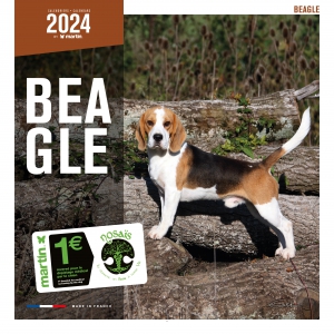 Calendrier chien 2024 - Beagle - Martin Sellier
