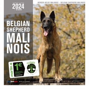 Calendrier chien 2024 - Berger Belge Malinois - Martin Sellier