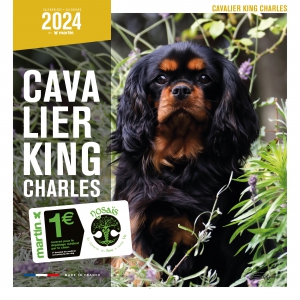 Calendrier chien 2024 - Cavalier King Charles - Martin Sellier