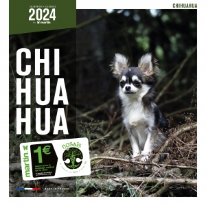 Calendrier chien 2024 - Chihuahua - Martin Sellier