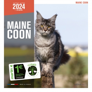 Calendrier chat 2024 - Maine Coon - Martin Sellier