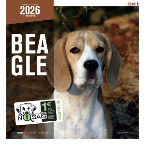 Calendrier chien 2026 - Beagle - Martin