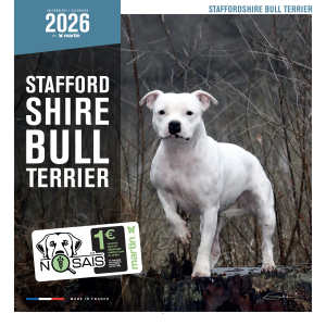 Calendrier chien 2026 - Stafford Shire Bull Terrier - Martin