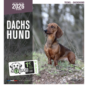 Calendrier chien 2026 - Teckel - Martin