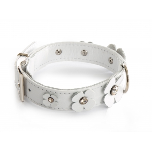 Collier cuir droit blanc pour chien - cuir fantaisie trèfle peausserie