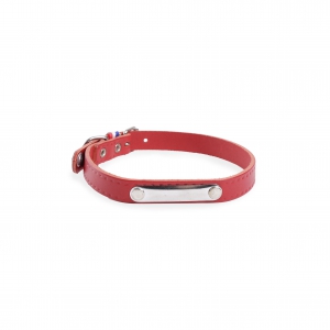 Identification Collar Red leather dog - Coupe franc riveted