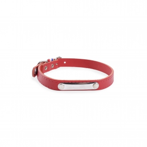 Collier d'identification en cuir rouge pour chien - Coupé franc riveté