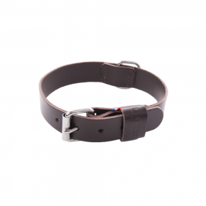 Collier cuir pleine fleur marron pour chien