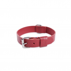 Red leather dog Collar right - cut franc stung