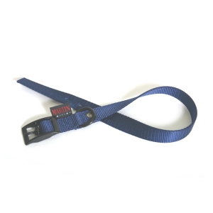 Collier droit en nylon bleu pour chien