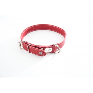 Red leather dog collar - classic leather stitched with plate