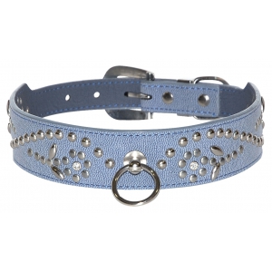 Collier pour chien - Blue West - Vivog