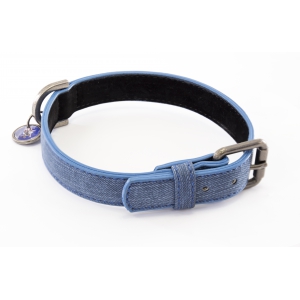 Collier pour chien - collection Hip Hop - Téo Jasmin