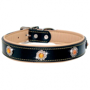 Dog collar - black leather - Citrine