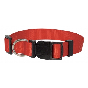 Dog collar - Red nylon