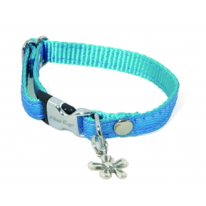 Dog collar - nylon Disco blue turquoise