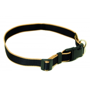 Collier pour chien - Safran