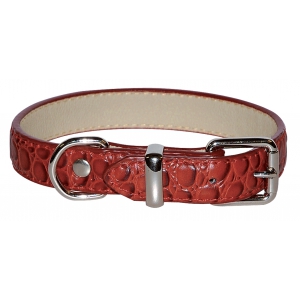Dundy red collar