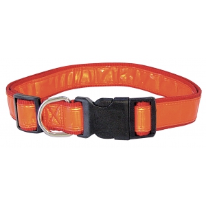 dog collar TANGERINE - adjustable - special fluo - orange