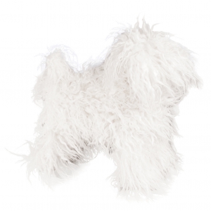 Dog model Fur