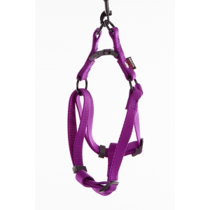 Step in harness for dog purple nylon