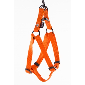 Step in harness for dog orange nylon