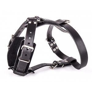 Dog harness - cozy black leather
