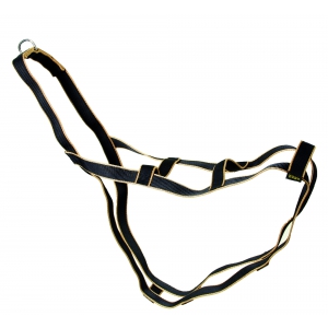 Sled dog harness - Safran